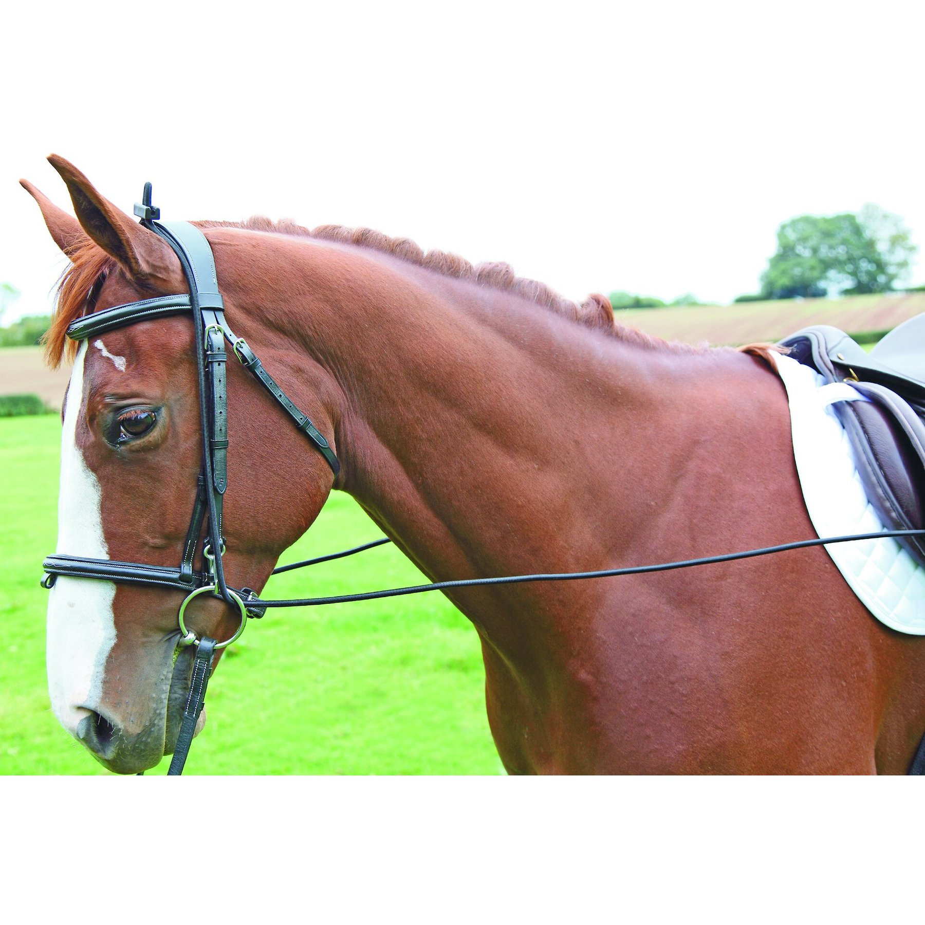 Shires Equestrian Products Elastic Draw Horse Reins