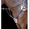 Shires Equestrian Products Rossano Five Point Horse Breastplate, Havana, Pony