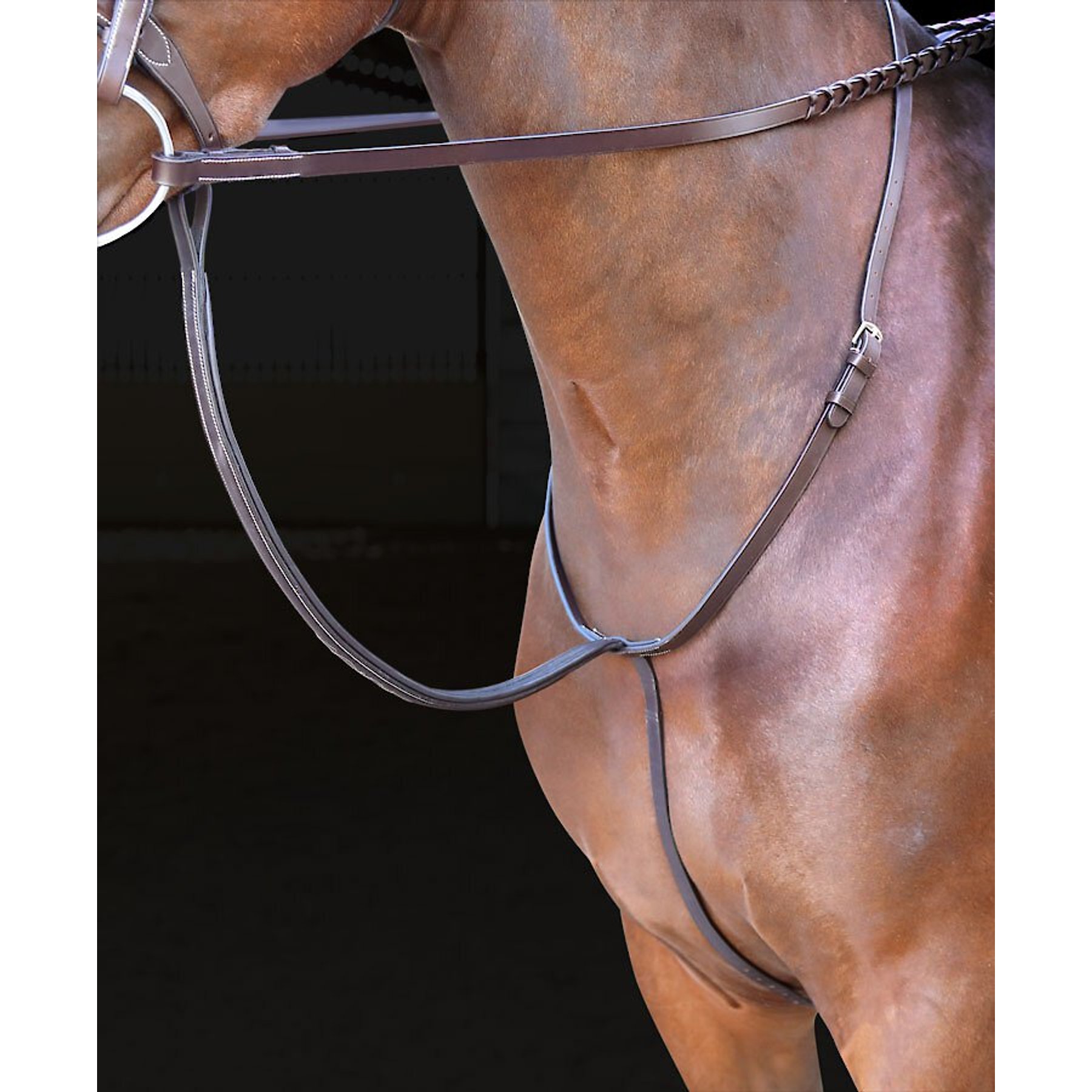 Shires Equestrian Products Rossano Standing Horse Martingale, Full