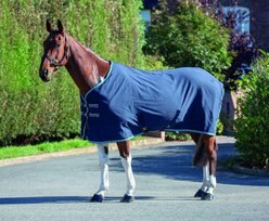 Shires Equestrian Products Tempest Original Stable Horse Sheet, 63-in