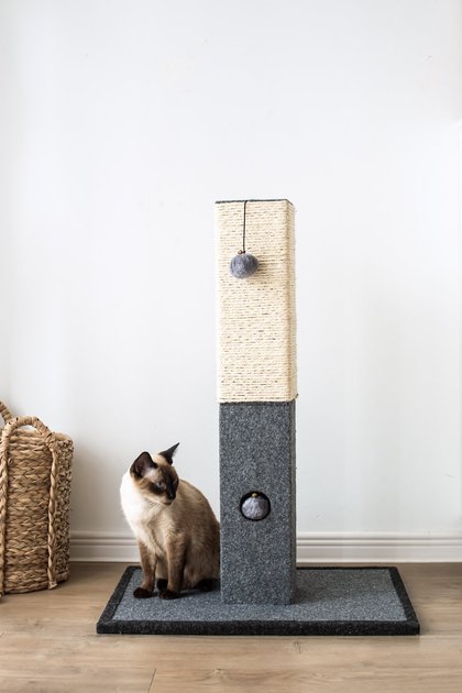 CATRY 32-in Modern Sisal Cat Scratching Post with Toy - Chewy.com