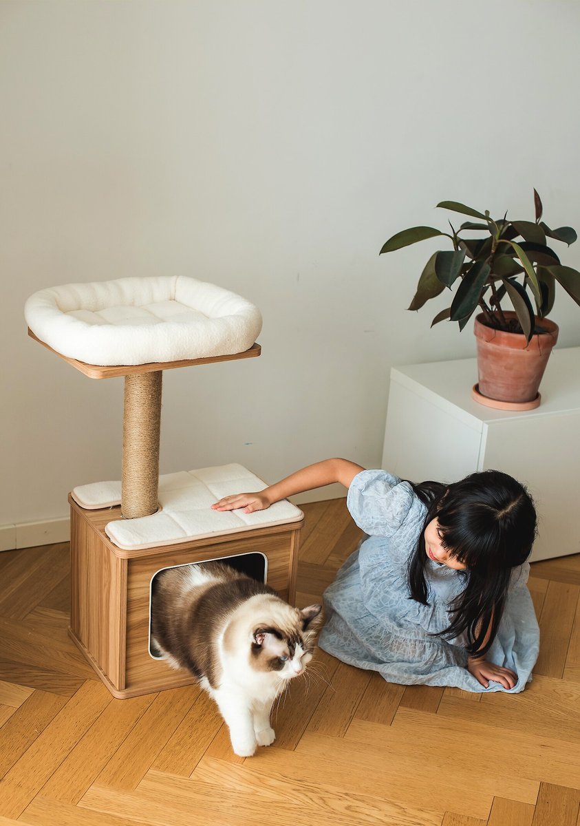 Catry 29.7-in Modern Jute Cat Tree & Condo - Chewy.com