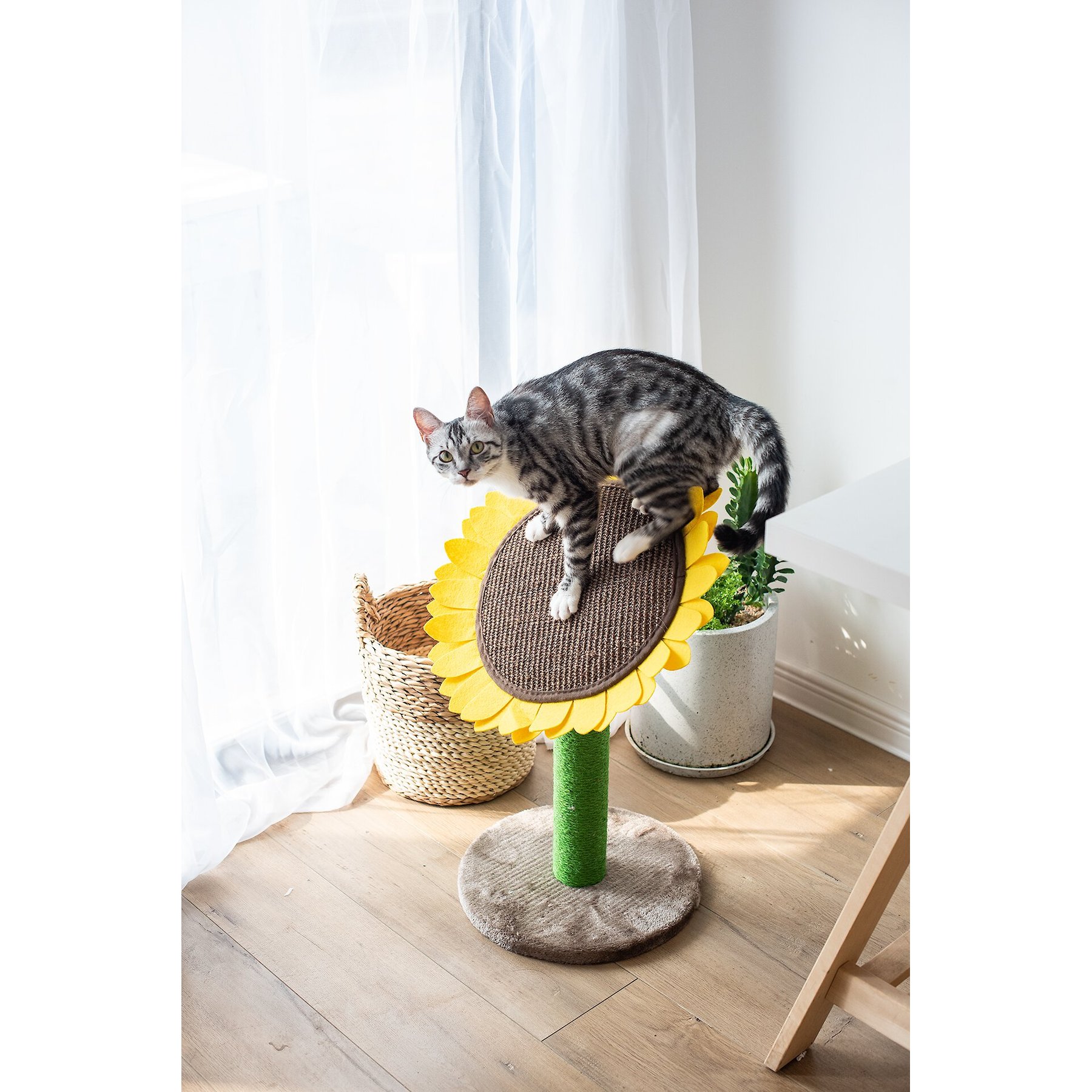 SmartyKat Playful Post Carpet Cat Scratching Post with Track Toy Base