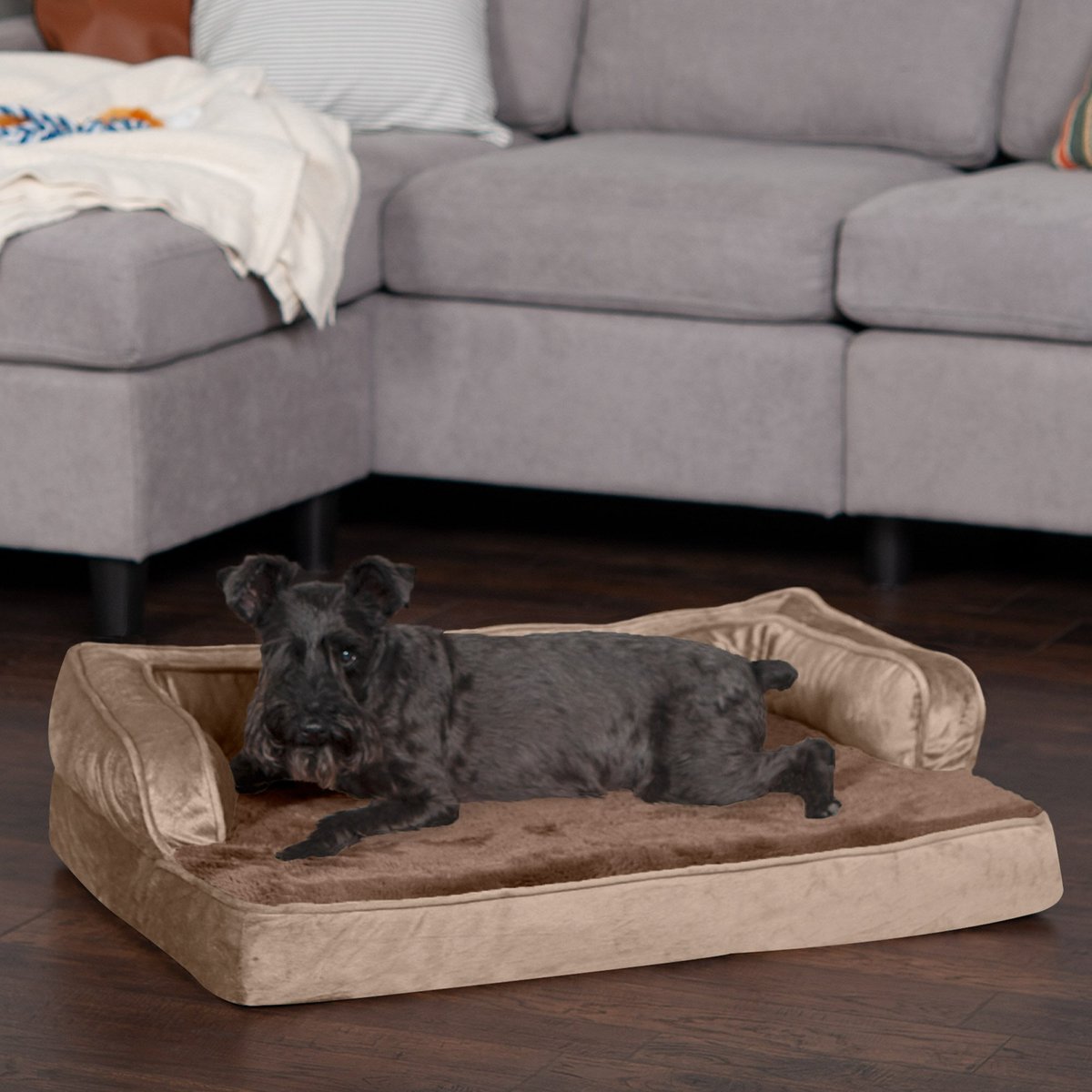 FURHAVEN Plush & Velvet Orthopedic Comfy Couch Dog & Cat Bed, Almondine ...