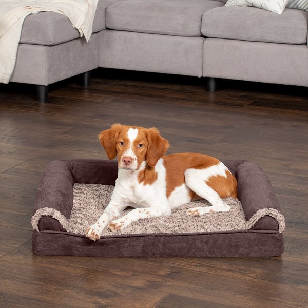 Furhaven Medium Memory Foam Dog Bed Faux Fur & Velvet Sofa