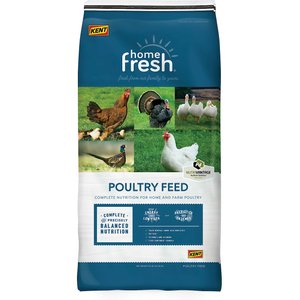 Kent Home Fresh Grow & Show 15% Protein Crumble Poultry Feed, 50-lb bag