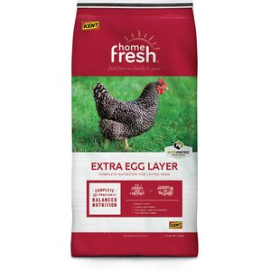 Kent Home Fresh Extra Egg Layer 16% Protein Pellet Poultry Feed, 50-lb bag