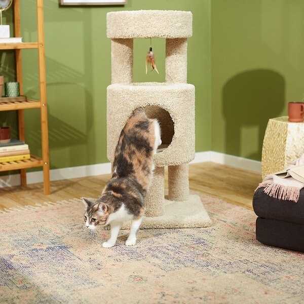 FRISCO 36in Real Carpet Wooden Cat Tree with Condo, Beige