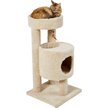 FRISCO 36-in Real Carpet Wooden Cat Tree with Condo, Beige - Chewy.com