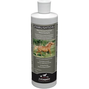 First Companion Thrushtox Horse Antifungal Ointment, 16-oz bottle