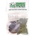 From The Field Grow Your Own Catnip Plant Kit