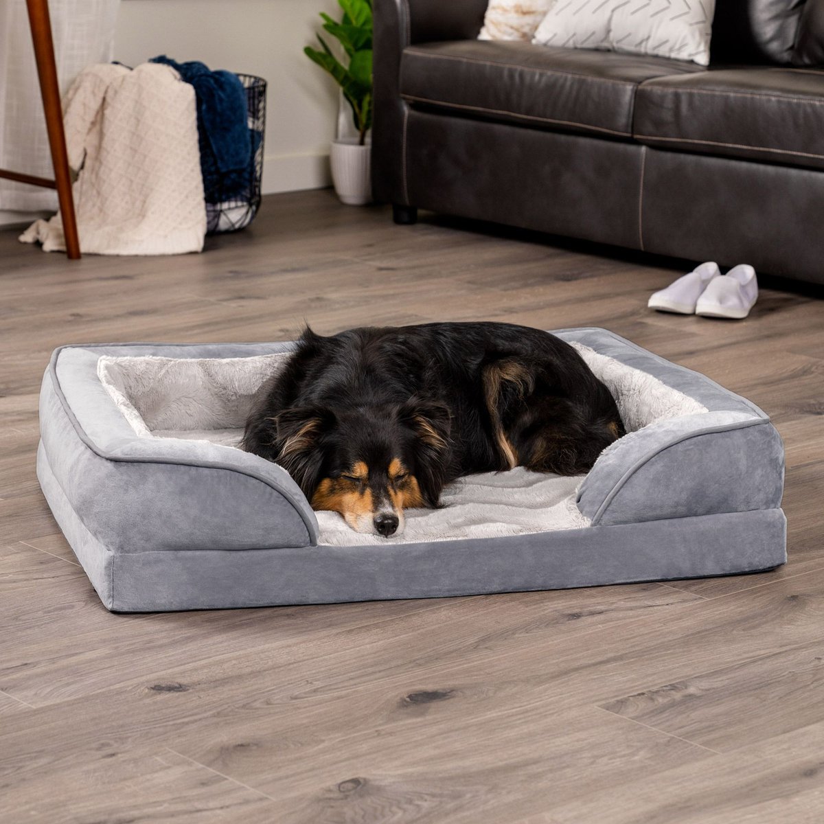 Perfect shop comfort bed