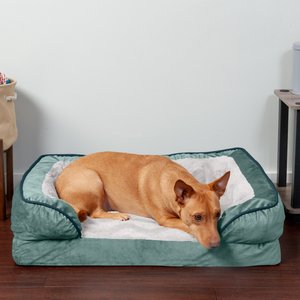 FurHaven Velvet Waves Perfect Comfort Orthopedic Sofa Cat & Dog Bed with Removable Cover, Celadon Green, Medium