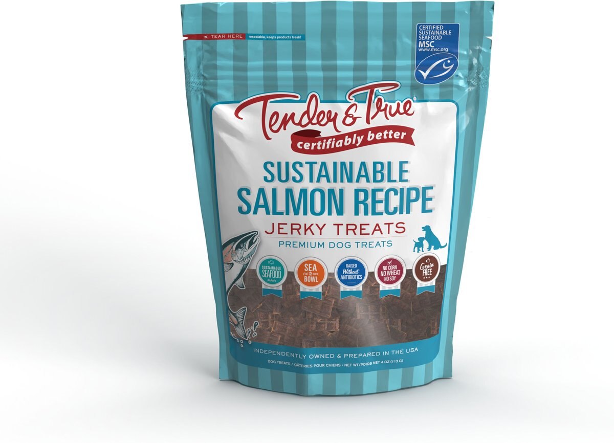 Tender & True Sustainable Grain-Free Salmon Flavored Jerky Dog Treats, 4-oz bag