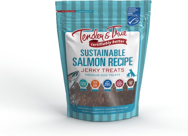 Tender & True Sustainable Grain-Free Salmon Flavored Jerky Dog Treats, 4-oz bag slide 1 of 2