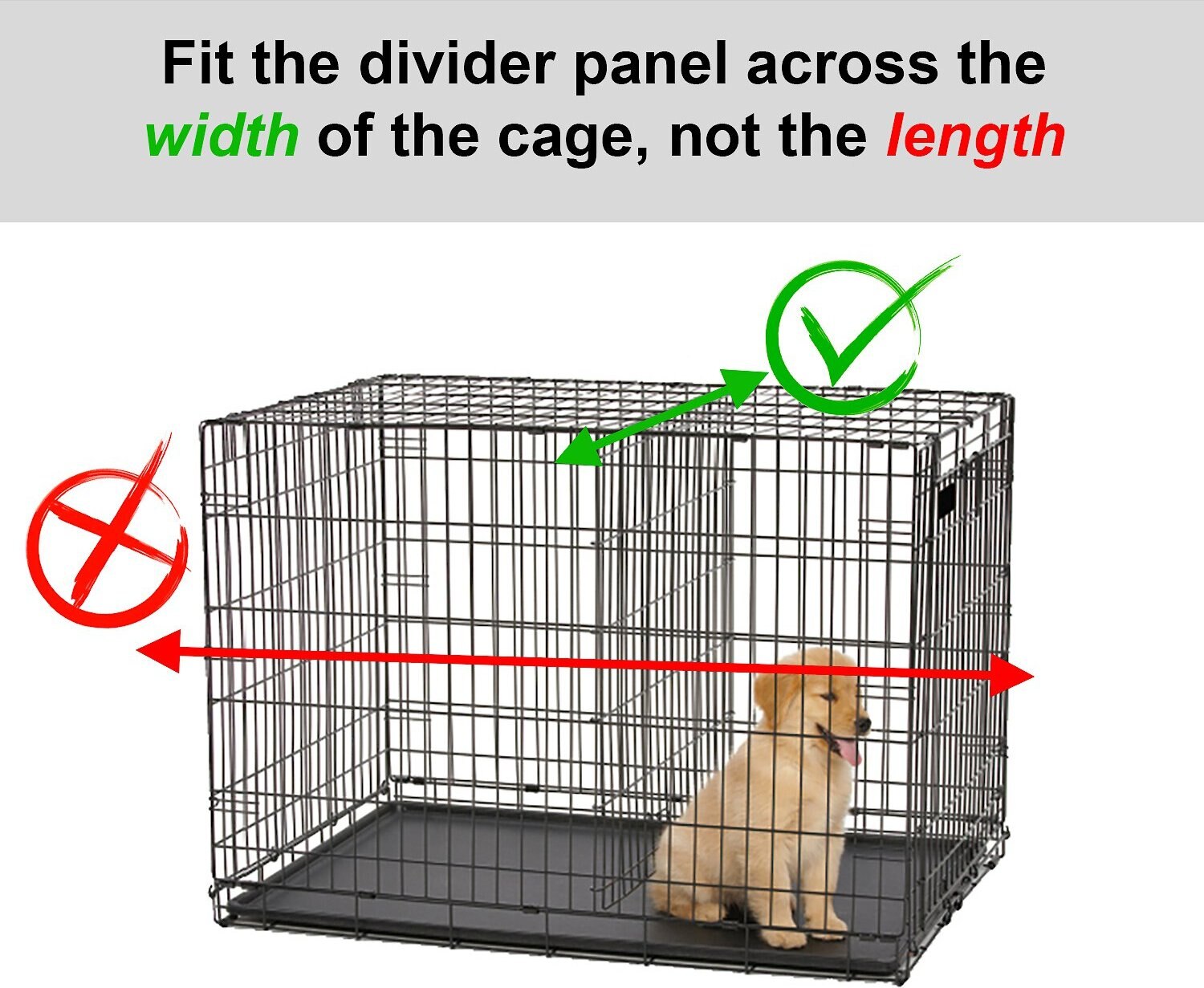 chewy crate divider