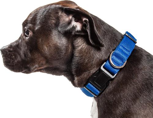 Show full view: Pet Life Aero Mesh 360 Degree Dual Sided Mesh Dog Collar, Blue, Small slide 2 of 6