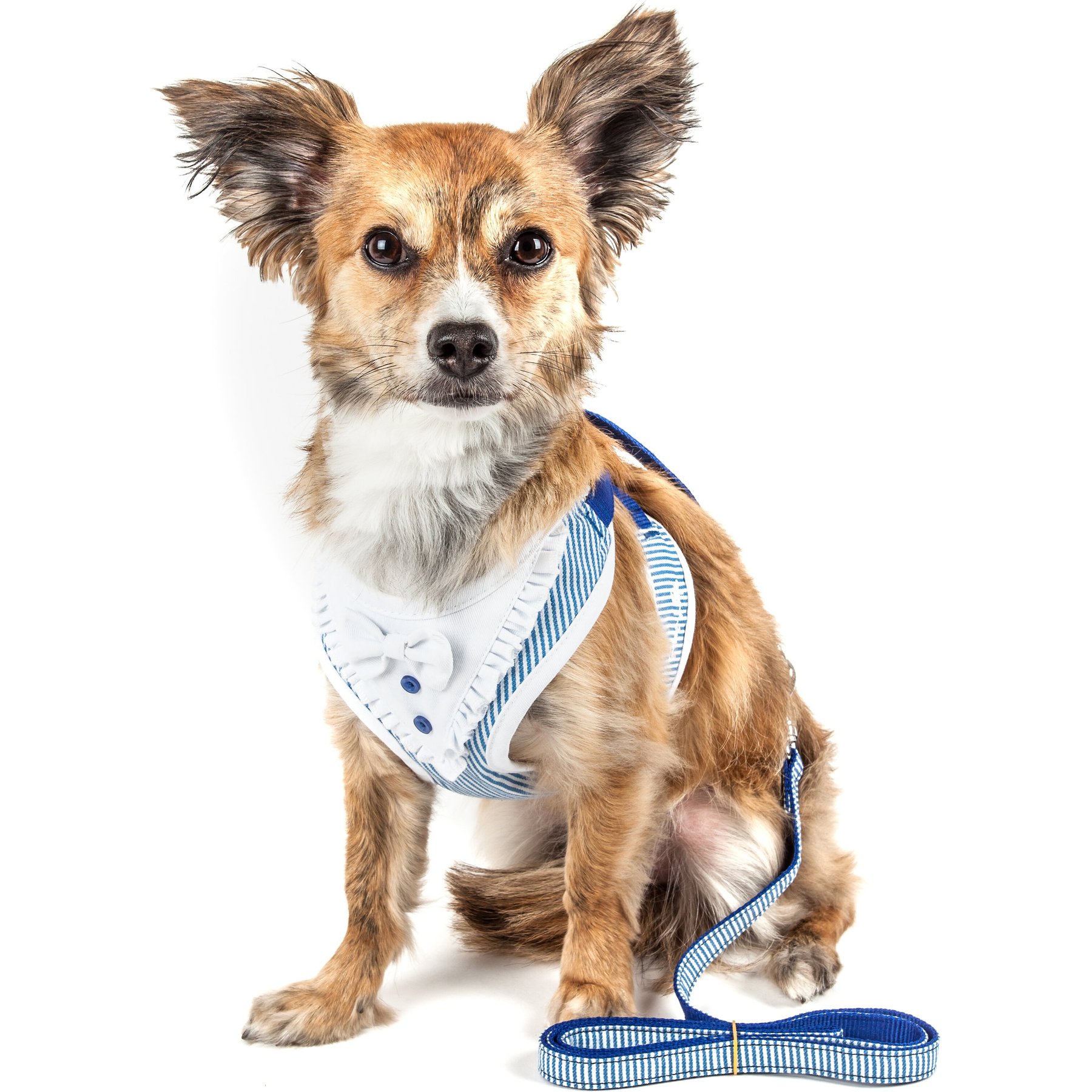 Pet Life Luxe Spawling 2-In-1 Mesh Reversible Dog Harness & Leash, Blue, X-Small