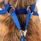 Show in main carousel: Pet Life Luxe Spawling 2-In-1 Mesh Reversible Dog Harness & Leash, Blue, Medium slide 8 of 8