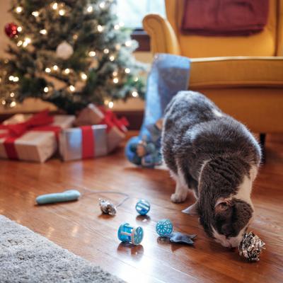 Show full view: Frisco Holiday Stocking Variety Pack Cat Toy with Catnip, 25 count slide 5 of 9