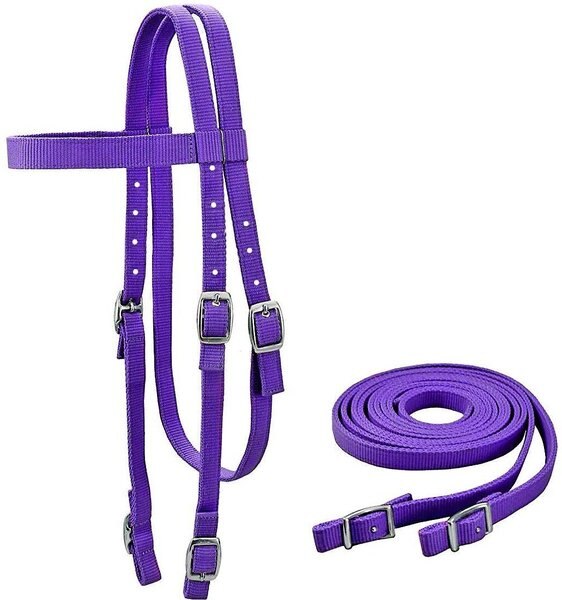 Tahoe Tack Plain Double Layer Nylon Horse Headstall & Reins, Purple, Full slide 1 of 4