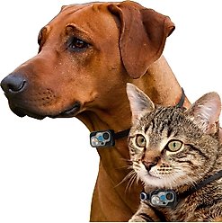 High Tech Pet Products PX-2 Power Pet Fully Automatic Pet Door slide 2 of 7