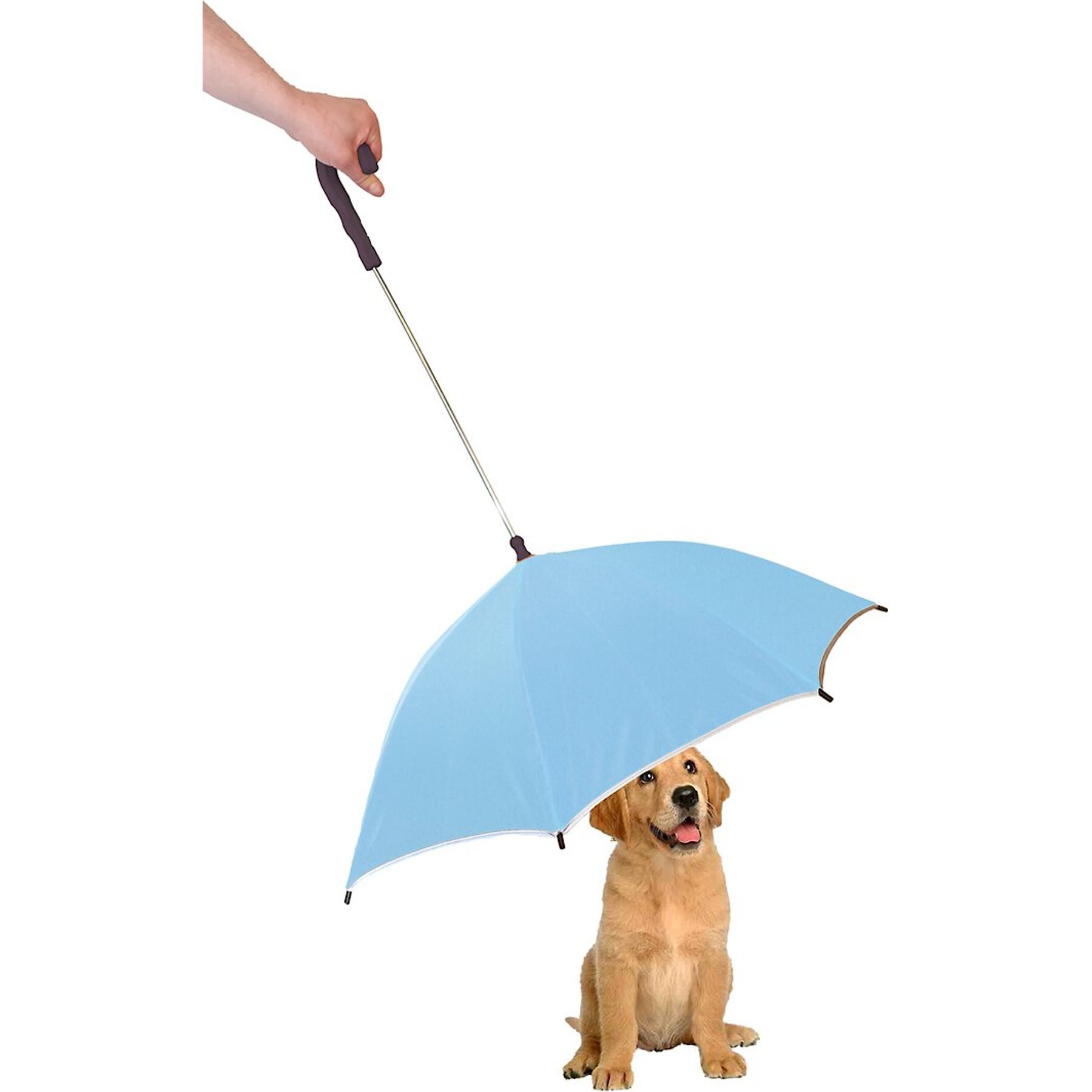 Discontinued PET LIFE Pour Protection Dog Umbrella Leash Holder Pink Chewy