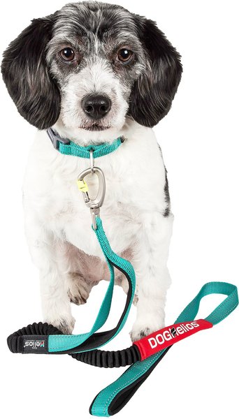 Indestructible retractable dog clearance leash