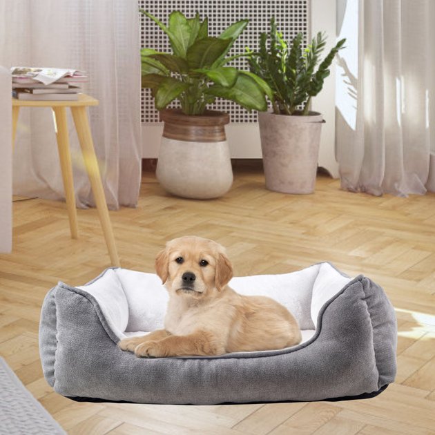 HAPPYCARE TEXTILES Rectangle Orthopedic Bolster Cat & Dog Bed, Gray ...