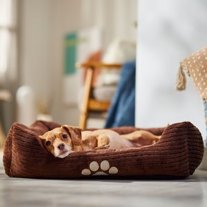 HappyCare Textiles Rectangle Orthopedic Bolster Cat & Dog Bed, Coffee, Medium