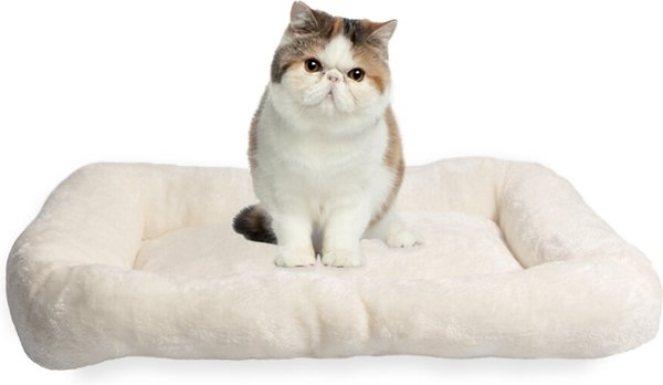 Cat cheap beds chewy