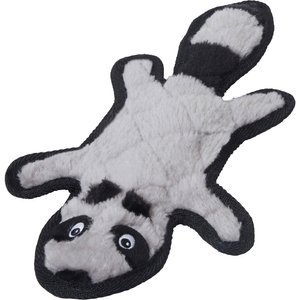 Frisco Flat Plush Squeaking Raccoon Dog Toy, Small