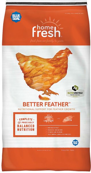 Blue Seal Home Fresh Better Feather Chicken Feed, 40-lb bag slide 1 of 7