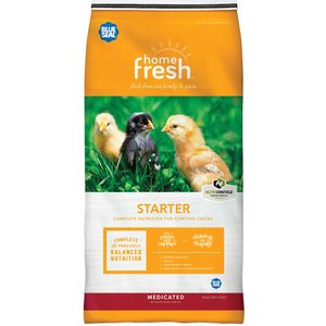 Blue Seal Home Fresh AMP Starter Crumbles Chicken Feed, 50-lb bag