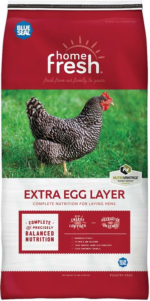 Blue Seal Home Fresh Extra Egg Layer 16% Protein Crumbles Chicken Feed, 25-lb bag slide 1 of 8