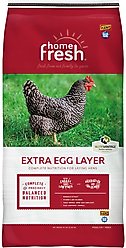 Blue Seal Home Fresh Extra Egg Layer 16% Protein Pellets Poultry Feed, 50-lb bag