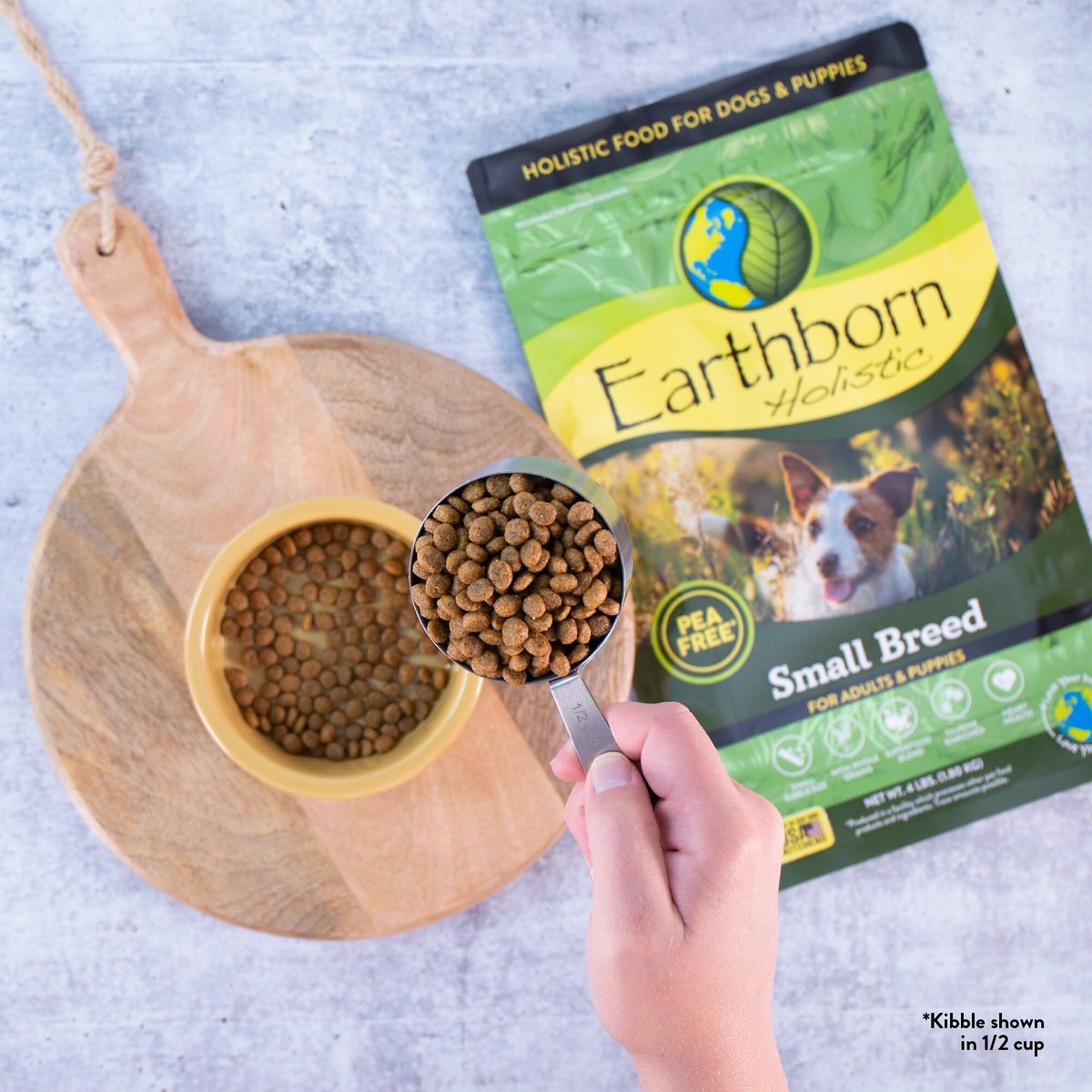 Earthborn holistic small 2025 breed natural dog food