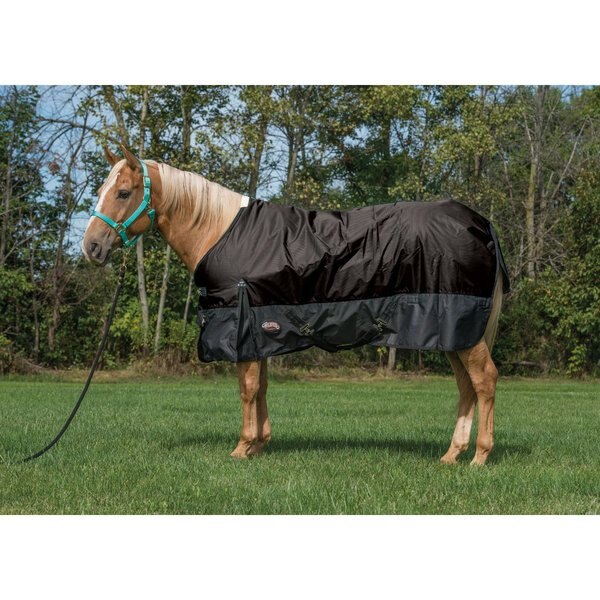 Weaver Equine Economy 600D Turnout Horse Blanket