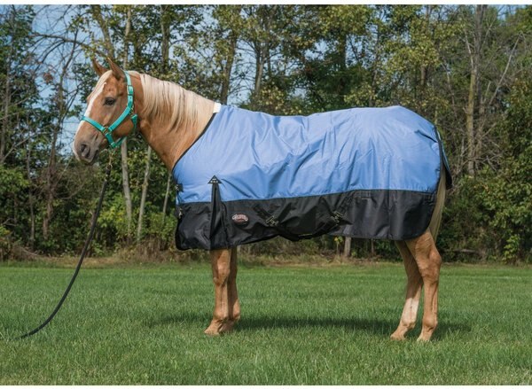 Weaver Leather Economy 600D Turnout Horse Blanket, Blue, 72-in slide 1 of 1