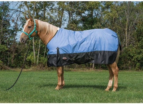 Weaver Leather Economy 600D Turnout Horse Blanket, Blue, 81-in slide 1 of 4