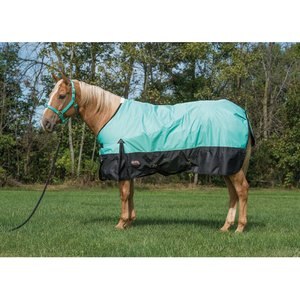 Weaver Leather Economy 600D Turnout Horse Blanket, Mint, 72-in