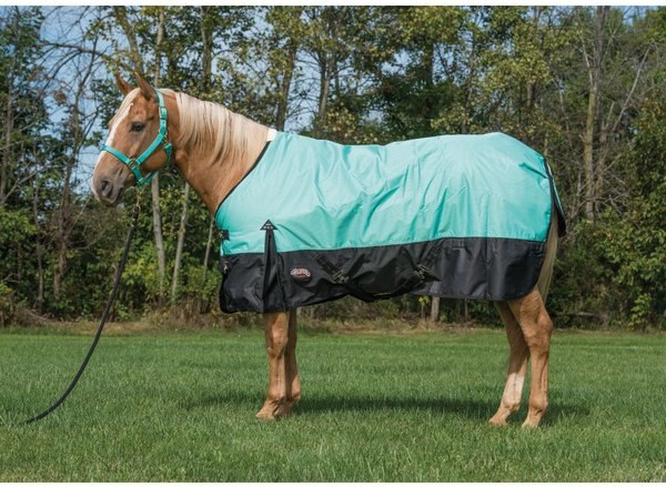 Weaver Leather Economy 600D Turnout Horse Blanket, Mint, 84-in slide 1 of 1