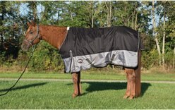 Weaver Leather Premium 600D Mesh Horse Rainsheet, Black, 69-in