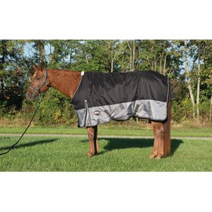 Weaver Leather Premium 600D Mesh Horse Rainsheet, Black, 69-in