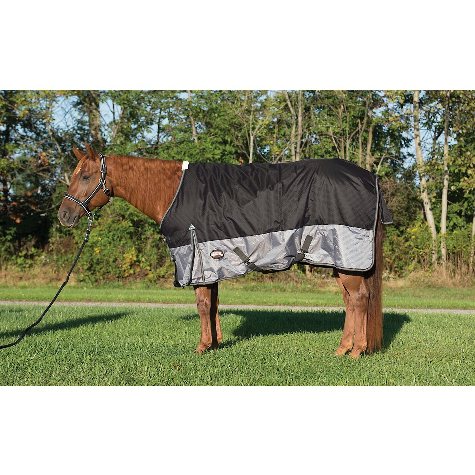Weaver Equine Premium 600D Mesh Horse Rainsheet, Black, 84-in