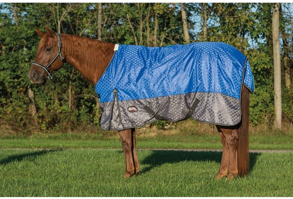 Weaver Leather Premium 600D Mesh Horse Rainsheet, Blue, 69-in slide 1 of 1