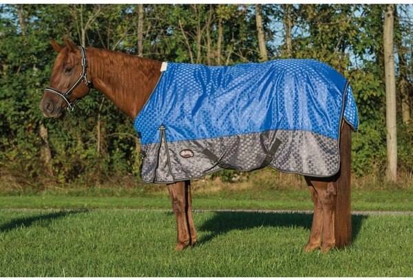 Weaver Leather Premium 600D Mesh Horse Rainsheet, Blue, 75-in slide 1 of 4