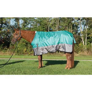 Weaver Leather Premium 600D Mesh Horse Rainsheet, Mint, 75-in