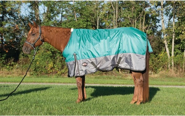 Weaver Leather Premium 600D Mesh Horse Rainsheet, Mint, 84-in slide 1 of 1