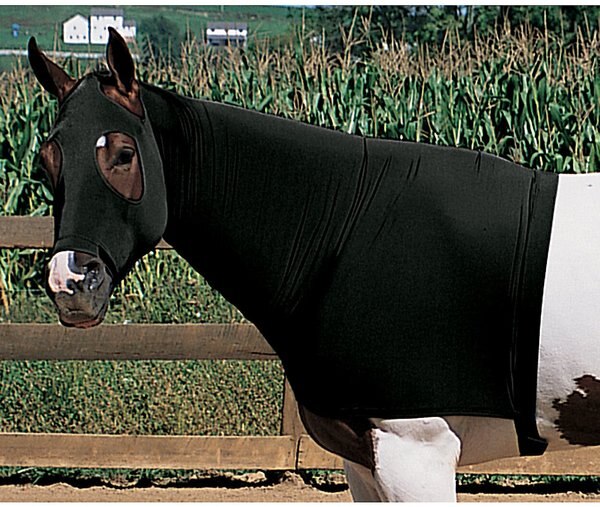 Weaver Equine Lycra Horse Hood